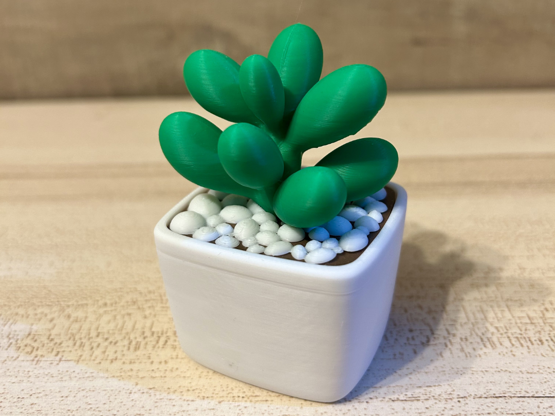 Decorative plant_No AMS