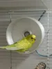 Only suitable for budgerigars, lovebirds, or small birds of similar size