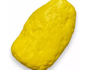 anatomical model of fat 1kg