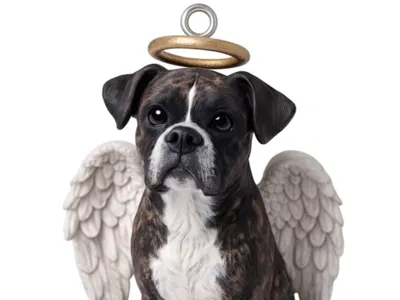 Angel Boxer Ornament