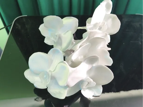 https://makerworld.bblmw.com/makerworld/model/US398d4eef6c3501/design/2025-12-27_e7c6f78e0a9c18.jpg