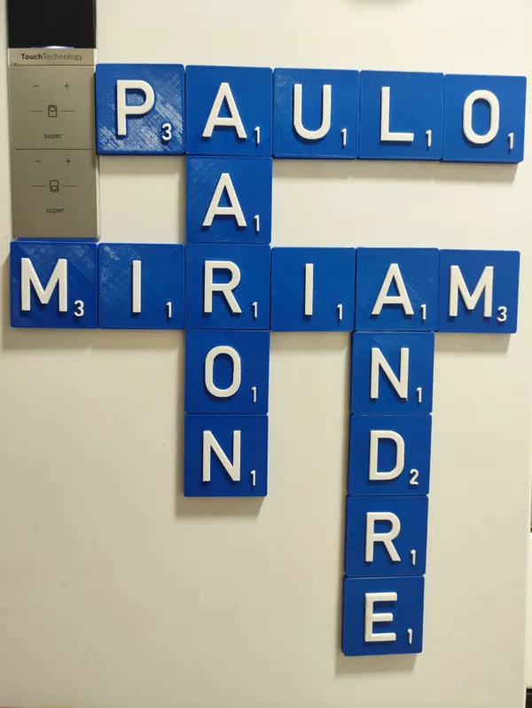https://makerworld.bblmw.com/makerworld/model/US3993727081e960/design/2024-03-21_3c2c169d30a84.jpg