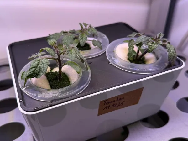 https://makerworld.bblmw.com/makerworld/model/US399934fad9e3bc/design/adbdd1aaebdeeec1.jpeg