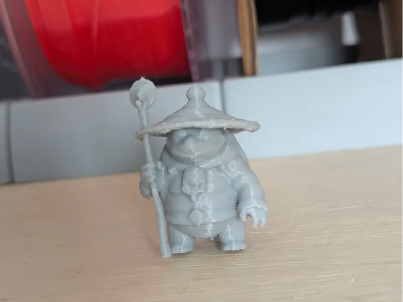 Sensei Tortoise