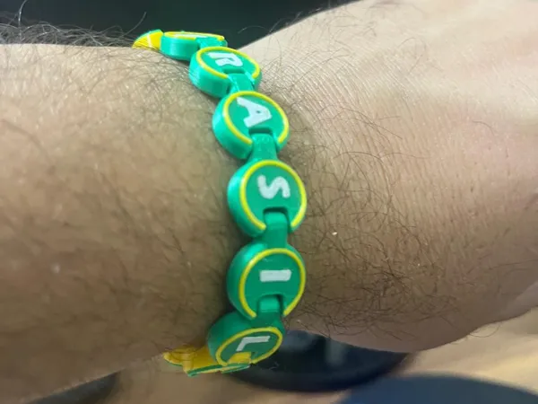 https://makerworld.bblmw.com/makerworld/model/US399faabc547768/design/8178b8a960791268.jpeg