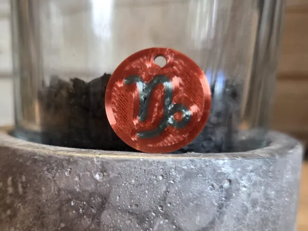 https://makerworld.bblmw.com/makerworld/model/US39a0bff1ae92fd/design/2025-06-23_688c979786c098.jpg