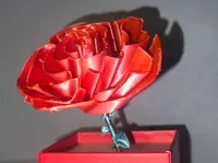 0.16mm layer, 2 walls, 5% infill