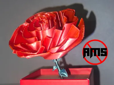 Eternal Rose – Valentine's Day Gift - No AMS
