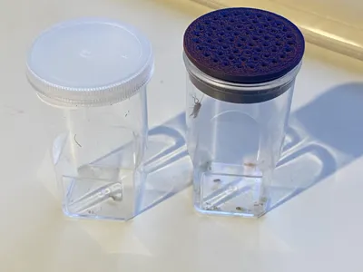 Spider Rearing Film Canister Lid 