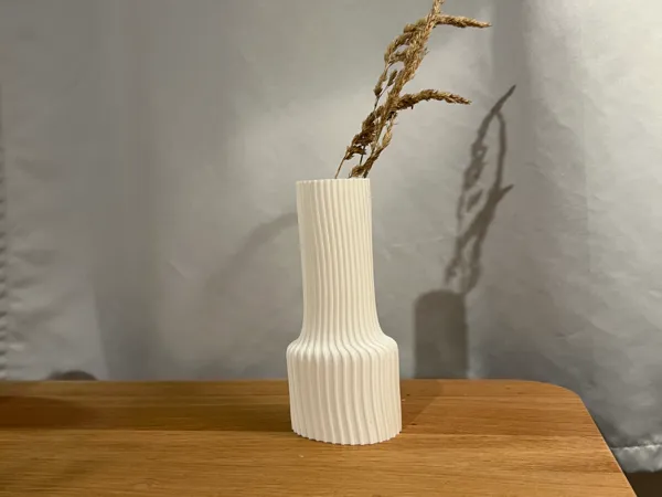 https://makerworld.bblmw.com/makerworld/model/US39ab5749a1a394/design/2024-12-05_25f6f3a3099b7.jpg