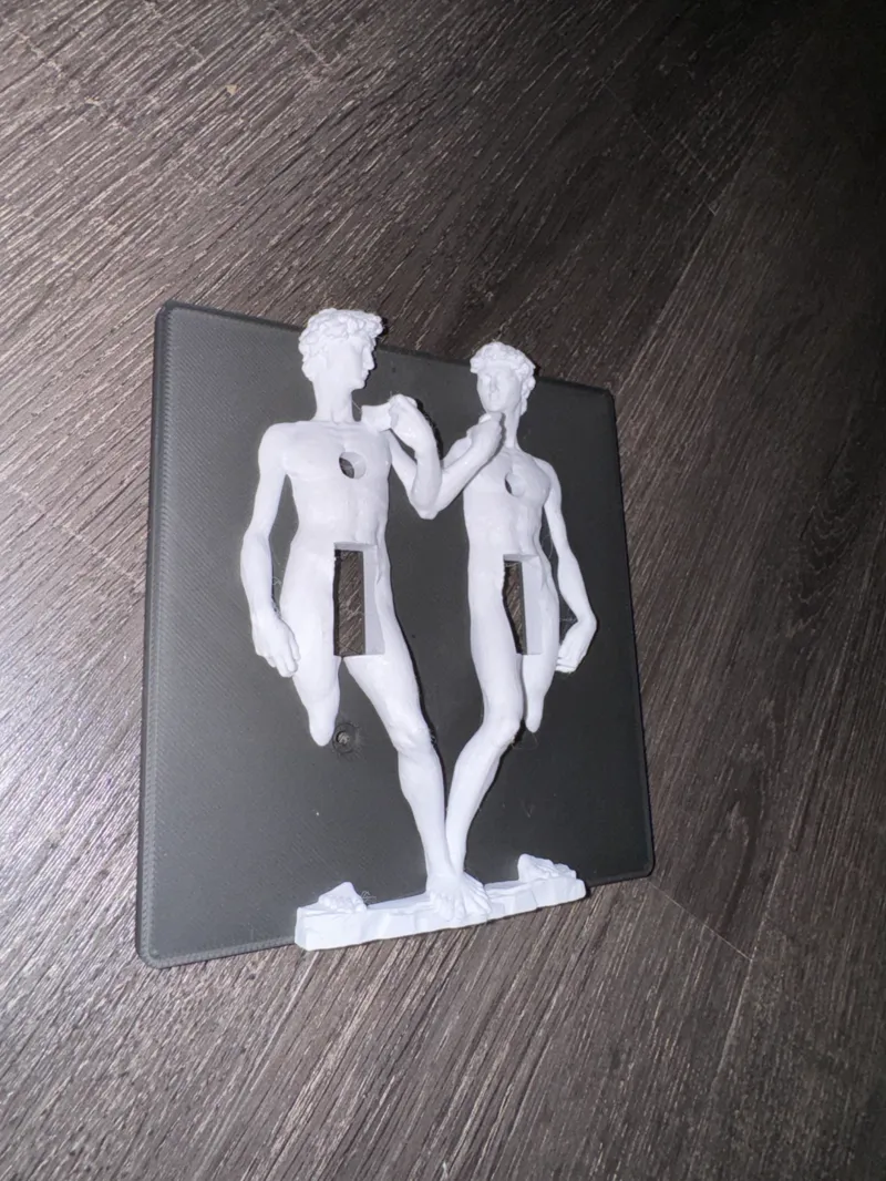 Renaissance Double Switch Cover Multi Color Michelangelo