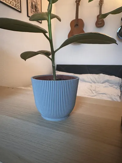 Fluted Vase
