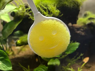 Aquarium Scrub Daddy Wand