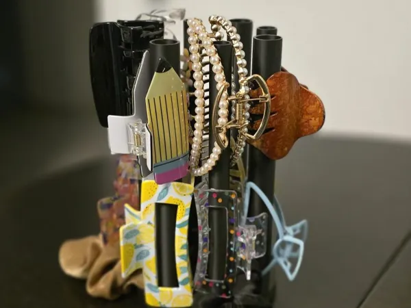 https://makerworld.bblmw.com/makerworld/model/US39b6980f1dc859/design/2025-01-20_a36d37fdeb8ee.jpg