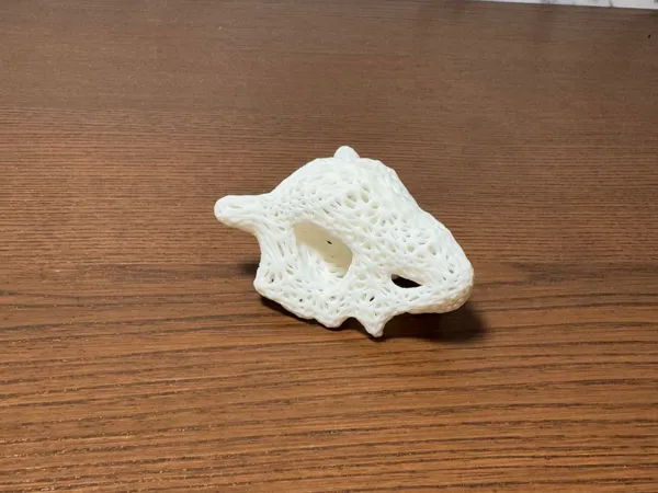 https://makerworld.bblmw.com/makerworld/model/US39b779c1c07d19/design/2025-01-21_7e0a391eb0442.jpg