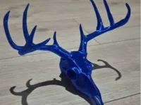 Crâne de cerf décoratif — photo 2