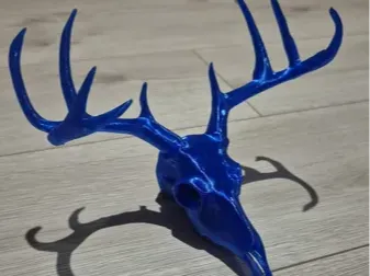 Crâne de cerf décoratif