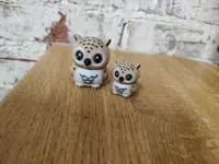 Baby Owl - AMS (A1 and above) 
