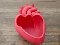 Anatomical Heart Bowl