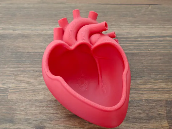 https://makerworld.bblmw.com/makerworld/model/US39c1abf5acc3ef/design/dc819803680776c0.jpg