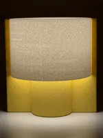 Original Fuzzy Skin Model