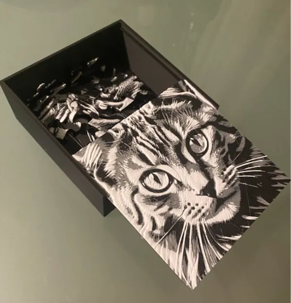 https://makerworld.bblmw.com/makerworld/model/US39c483dbde5622/design/2024-10-22_c6bd23aa9c431.jpg