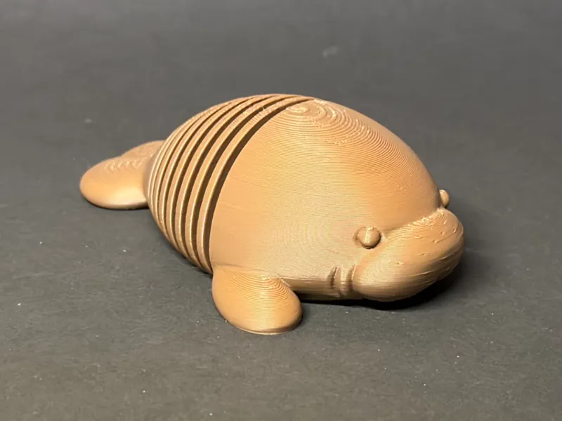 Spring Manatee