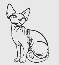 Silhouette de sphynx — photo 3