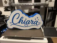 0.2mm layer, 2 walls, 20% infill