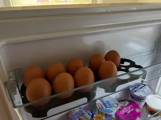 egg holder for fridge Gorenje