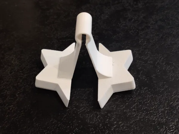 https://makerworld.bblmw.com/makerworld/model/US39cce501ea4952/design/2024-12-09_329f19b45b84c.jpg