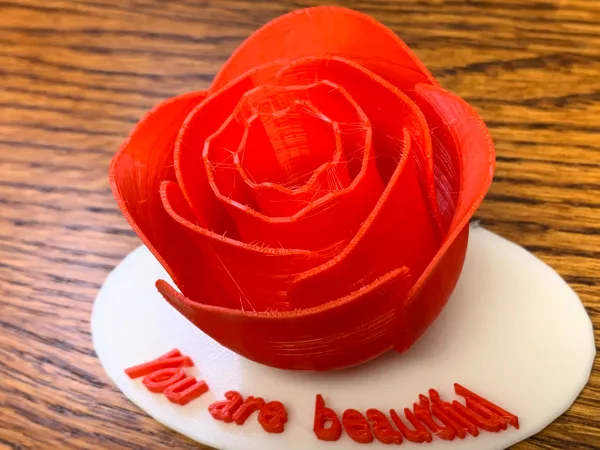 https://makerworld.bblmw.com/makerworld/model/US39d77ebb94c15f/design/2024-01-21_9d8b3edc2a70c8.jpeg