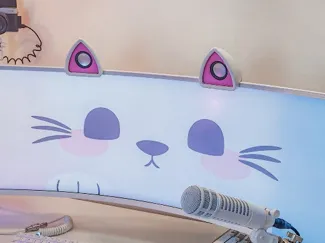 Cat Ear Speakers