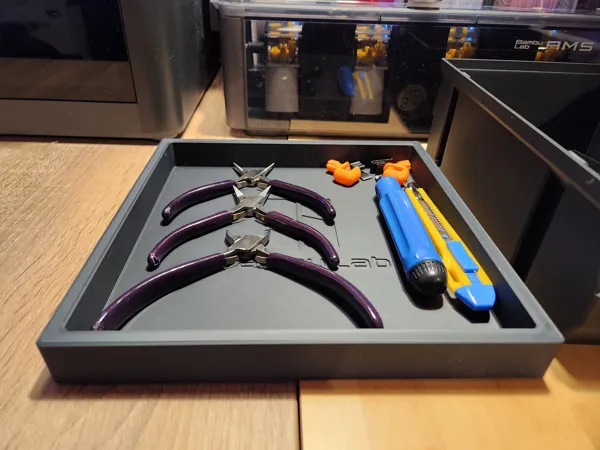 https://makerworld.bblmw.com/makerworld/model/US39e24bb4c74e33/design/2024-01-16_b3b228180a0a.jpg