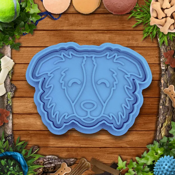 https://makerworld.bblmw.com/makerworld/model/US39e4637fde1d8d/design/2023-12-22_633e0854f6ad18.jpg