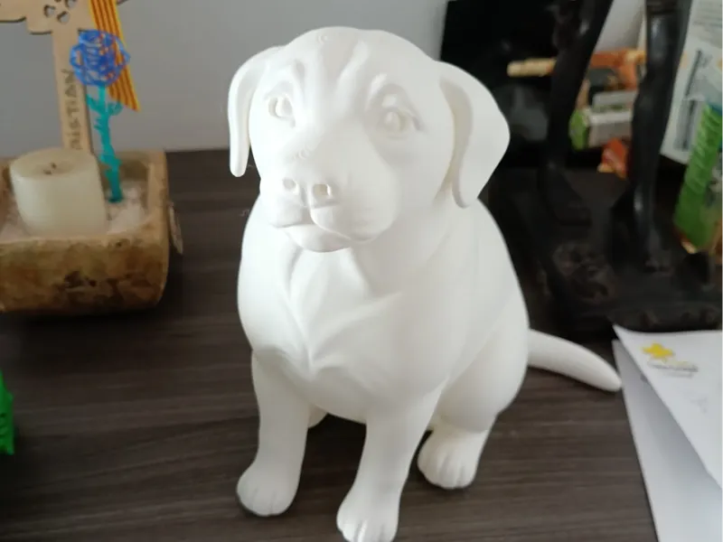 Perro 