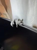 0.12mm layer, 3 walls, 15% infill