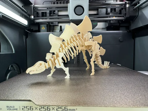 https://makerworld.bblmw.com/makerworld/model/US39e7ad96f14b00/design/2024-03-12_2d8796f15e5d5.jpeg