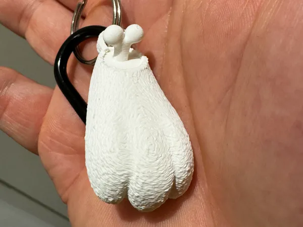https://makerworld.bblmw.com/makerworld/model/US39ea6a3c0da963/design/2025-01-30_e4f590af41b718.jpg