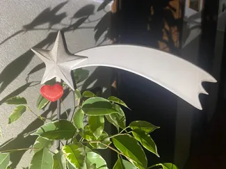 Stella cometa