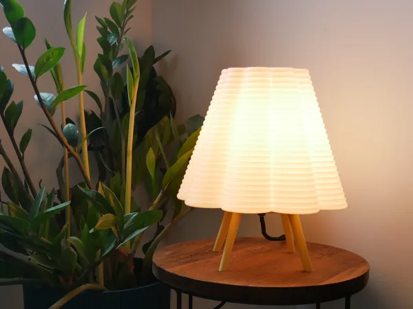 https://makerworld.bblmw.com/makerworld/model/US39f4e4e04dfe7d/design/2025-10-26_da4bb1e942bd5.jpg
