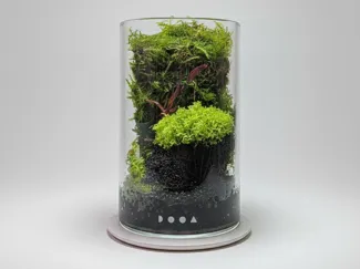 Dooa Maru 95 Moss Wall