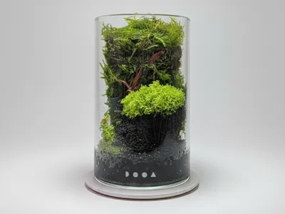 Dooa Maru 95 Moss Wall