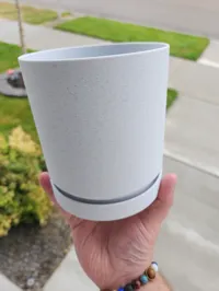 0.2mm layer, 2 walls, 10% infill