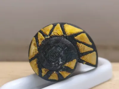 Hermit crab replacement shell misaligned triangle