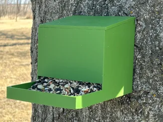 Bird / Squirrel feeder