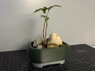 Mini Bonsai pot