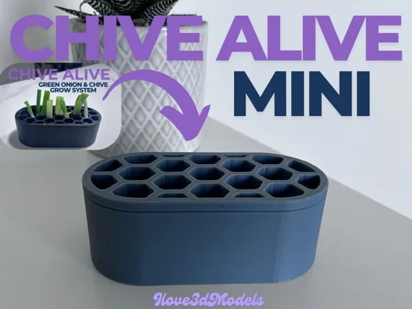 https://makerworld.bblmw.com/makerworld/model/US3a0e73fc1bdaf0/design/2025-05-13_47dea407764b18.png