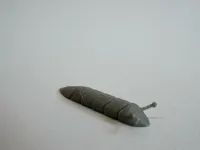 Limace articulée — photo 1