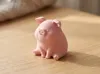Tiny Piglet – 40mm